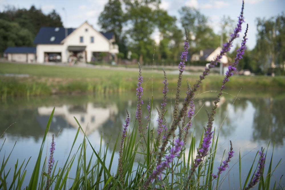 Apartamenty U Harrego I Przy Stawie Spa Z Klimatyzacja, Balia, Sauna, Ogrodem I Parkingiem Кудова-Здрой Екстериор снимка